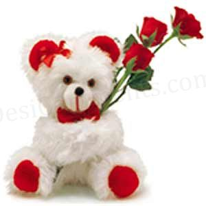 teddy