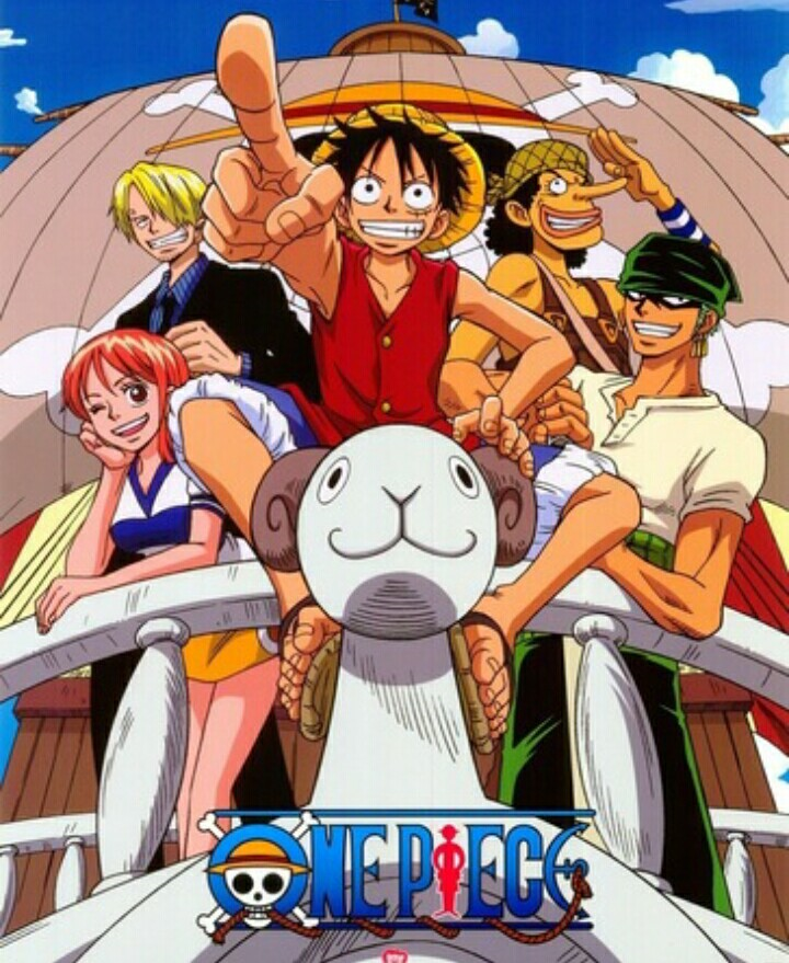Who Are You In Straw Hat Pirate?
