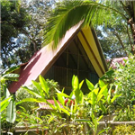 Gifts From The Land Of Pura Vida
