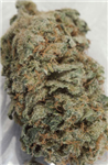 Send Some Chronic