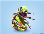 Send A Pinata