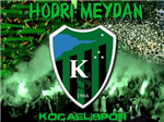 Hangi Taraftar Grubundasın?
