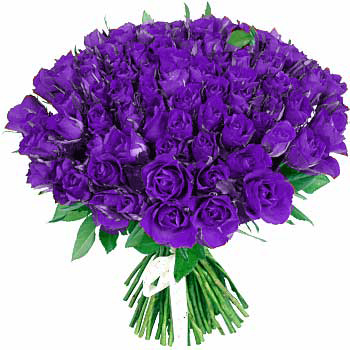 Ramo de Violetas!