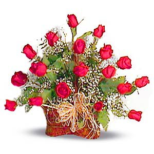 18 rosas
