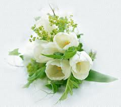 Rosas blancas!