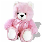 Send A Teddy