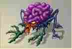 Brain