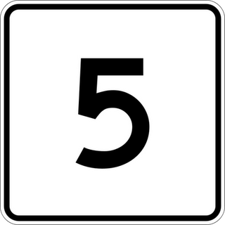 5 Yıl