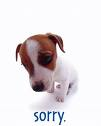 Apology Sender