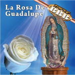 Rosa De Guadalupe