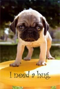 i need a hug