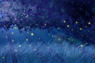 Firefly Or Dragonfly