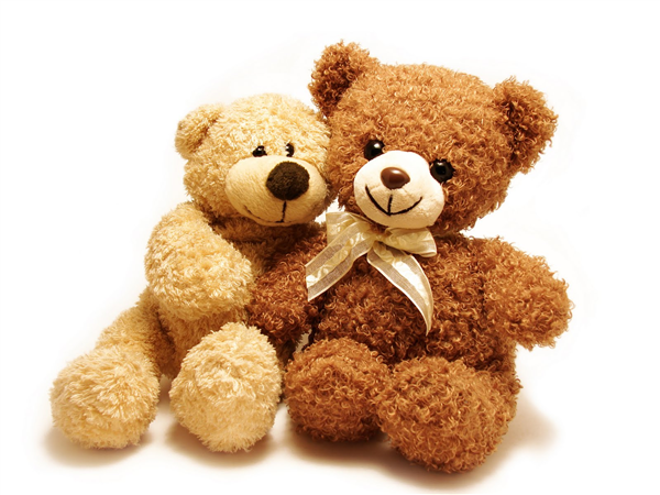Teddy