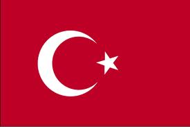 Hangi Türk Takımlısın ?