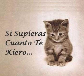 Cuantos Quieren Ser Tu Novio/A