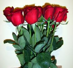 Happy Valentine's Day