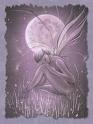Sweet Dreams