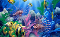 PINK REEF