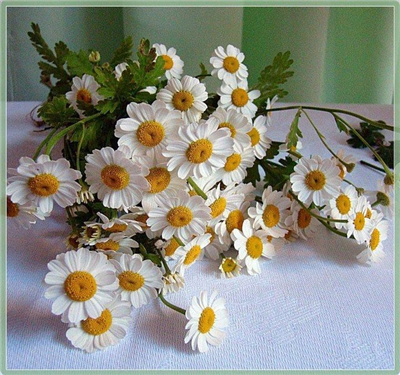 senin için can