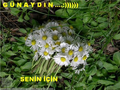 CUMAMIZ MÜBAREK OLSUN....SELAM VE MUHABBET İLE...GÜNAYDIN....
