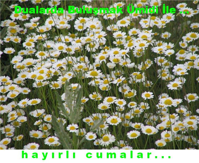 CUMAMIZ MÜBAREK OLSUN....SELAM VE MUHABBET İLE...GÜNAYDIN....