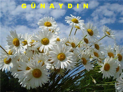 GUNAYDIN... HAYIRLI SABAHLAR...!