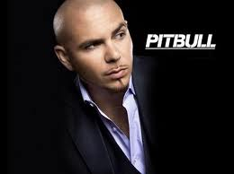 Pitbull