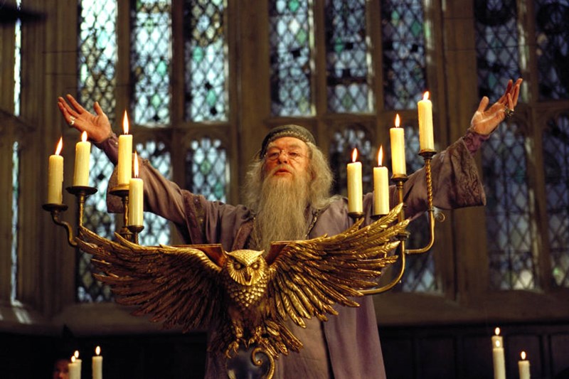 Dumbledore ( ist zwar kein Lehrer, aber egal)