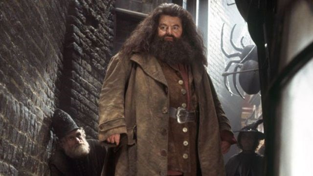 Rupeus Hagrid