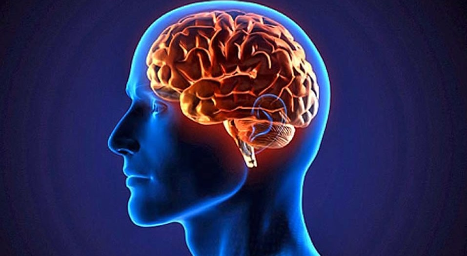 Test De Inteligencia
