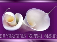 Bayram Çiçekleri 