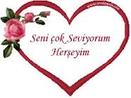 Seni Seviyorum