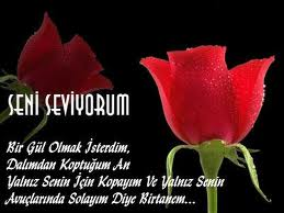 Seni Seviyorum 