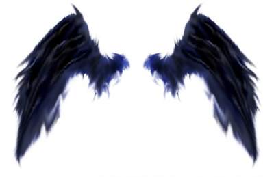 Fallen Angel Wings