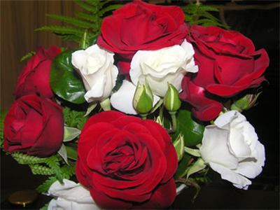rose