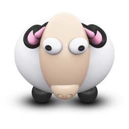 sheep