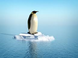 Penguen