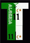 World Cup 2010 Jersey Gift