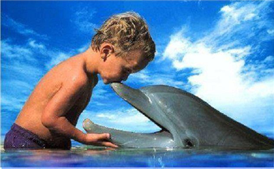 kiss a dolphin