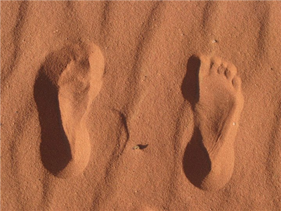 go to the desert