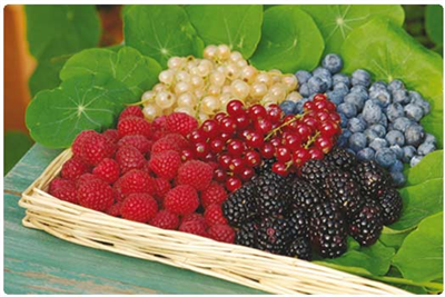 Frutti di bosco