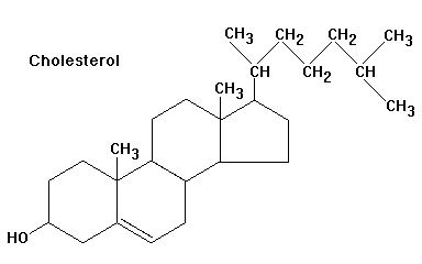 Cyclopentanoperhydrophénanthrène