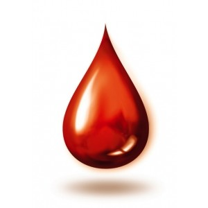 blood