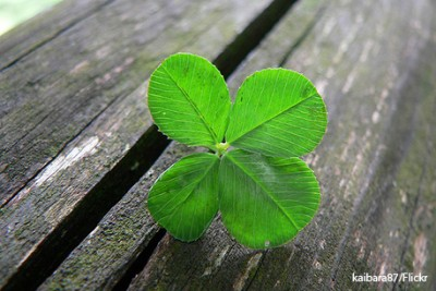 you are very lucky