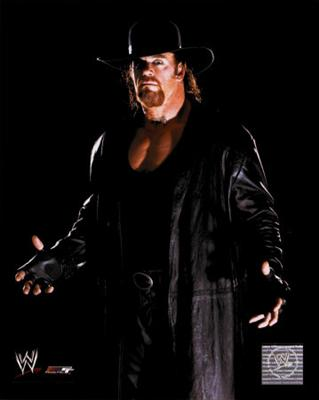 Hangi Wwe Dövüşçüsüsün