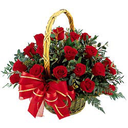 Nice Mutlu Senelere