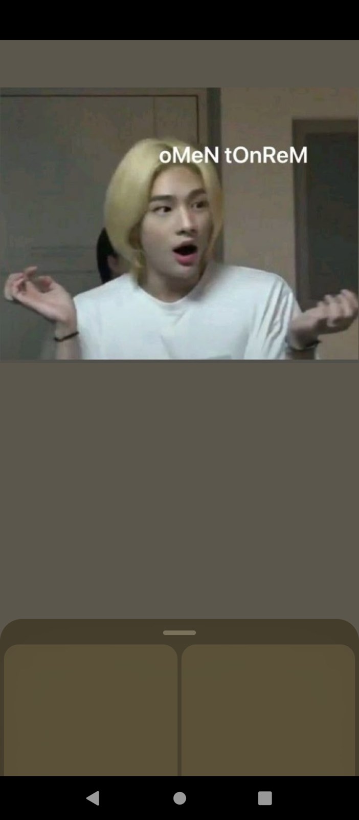 Hangi straykids üyesinin sevgilisisin