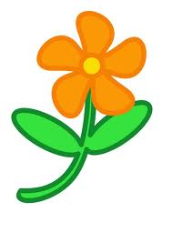A flower.