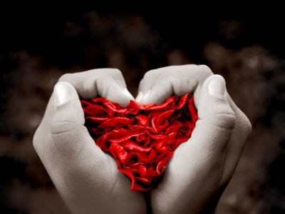 Corazon de Rosas