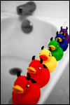 Rubber Duck-A-Rama